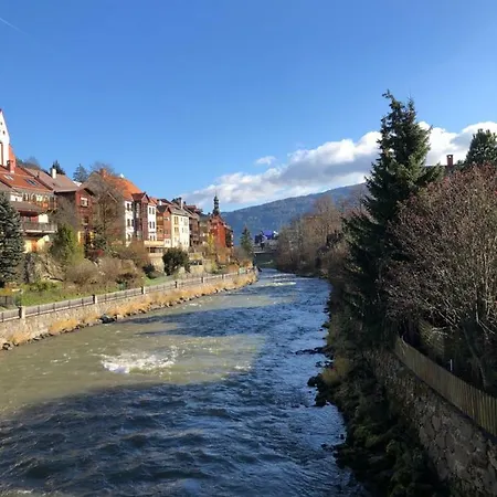Witrich Apartman Apartamento Murau